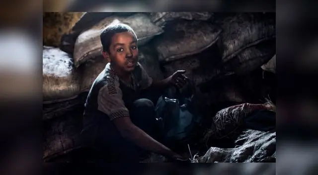 Hasta hace dos años, más de un millón y medio de niños y adolescentes entre 5 y 17 años de edad eran víctimas del trabajo infantil en el Perú y que el 88.5% trabaja en el área rural [FOTO REFERENCIAL]