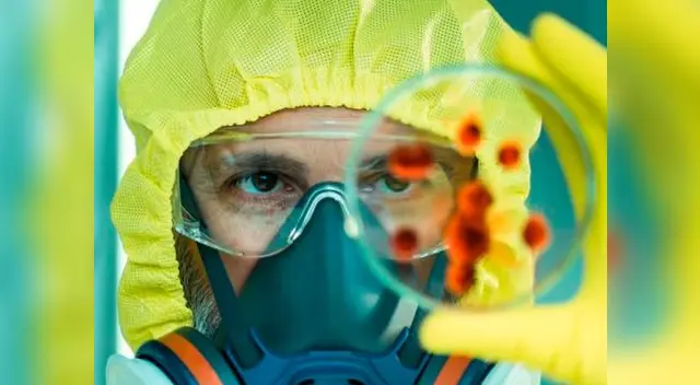 OMS ha hecho una lista de los virus mortales para el ser humano OMS ha hecho una lista de los virus mortales para el ser humano