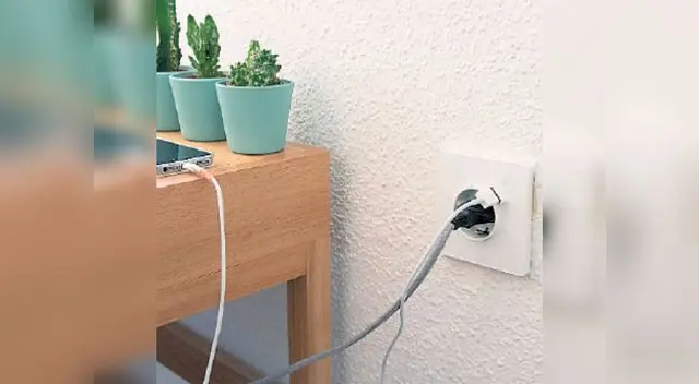 Estos se vuelven cada vez más imprescindibles Estos se vuelven cada vez más imprescindibles