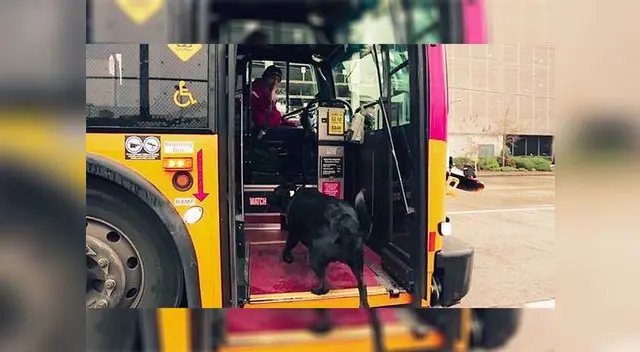 La publicación en Facebook tiene más de 290 mil interacciones La publicación en Facebook tiene más de 290 mil interacciones