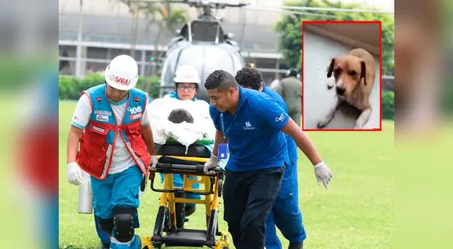 Menor que salvó a mascota falleció tras tragedia en Villa El Salvador Menor que salvó a mascota falleció tras tragedia en Villa El Salvador