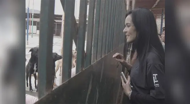 "De patitas a la calle" se estrenará a nuestras salas el 27 de febrero "De patitas a la calle" se estrenará a nuestras salas el 27 de febrero