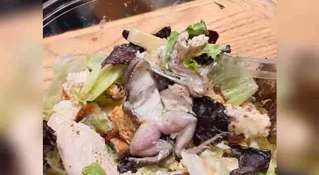 Este insólito hecho ocurrió en el restaurante Green Eat de Argentina Este insólito hecho ocurrió en el restaurante Green Eat de Argentina