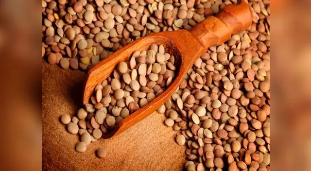 Las lentejas son un súper alimento para tu salud