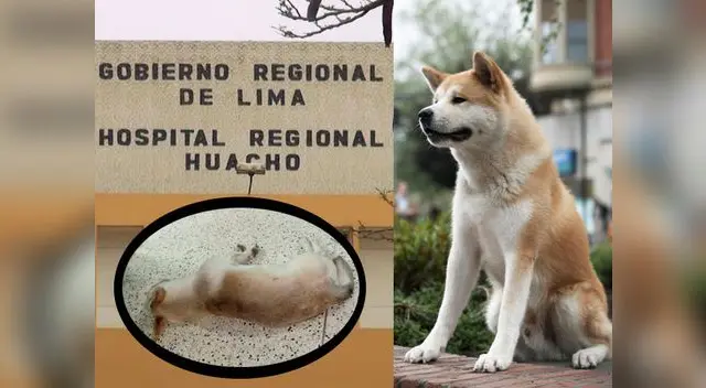 Este caso ha sido comparado por los usuarios de Facebook con la película de “Siempre a tu lado”