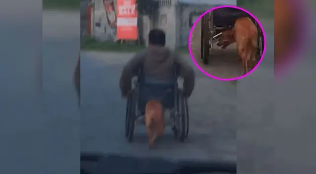 'Didong' y Danilo salen todas las mañanas a recorrer la tercera ciudad más poblada de Filipinas