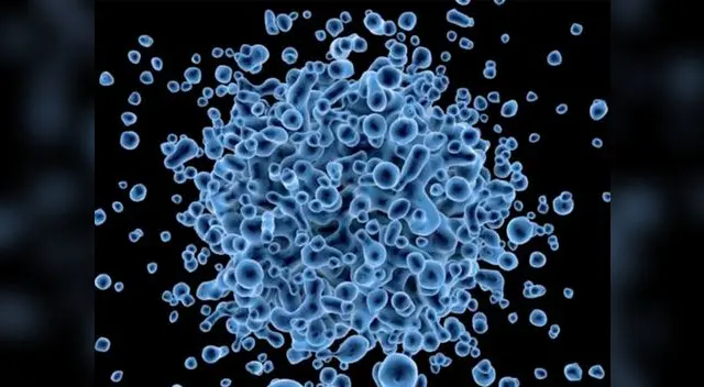 Las personas infectadas pueden transmitir con facilidad el virus Las personas infectadas pueden transmitir con facilidad el virus