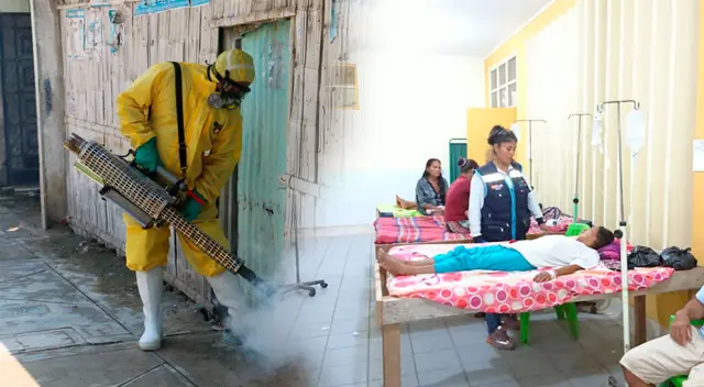 Son 2628 casos de dengue en el país donde ya hay siete fallecidos. Son 2628 casos de dengue en el país donde ya hay siete fallecidos.