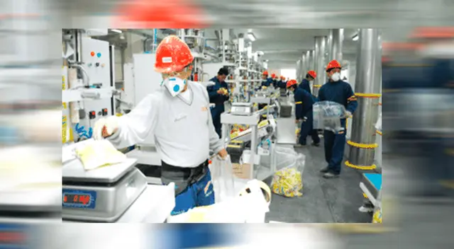 Trabajadores deben contar con seguro de vida ley Trabajadores deben contar con seguro de vida ley