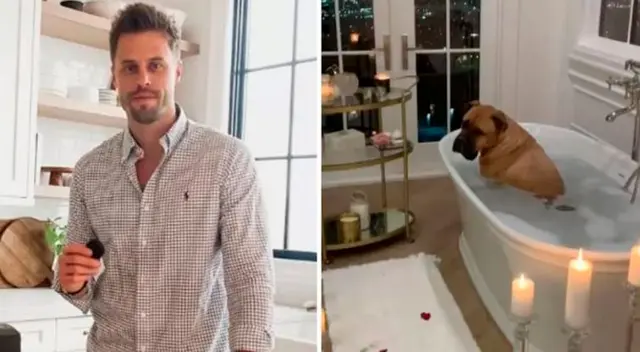 El perro de raza bullmastiff aprovechó la ausencia de su amo para realizar un travesura.