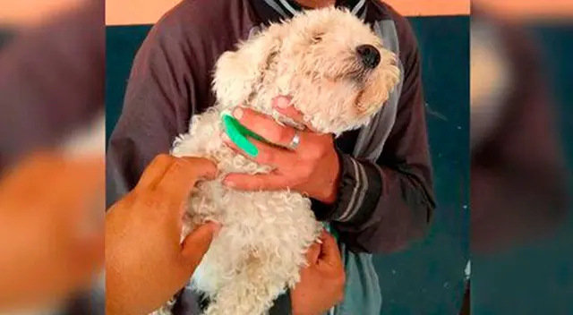 El sujeto ingresó al domicilio de sus vecinos en busca del regalo perfecto. El sujeto ingresó al domicilio de sus vecinos en busca del regalo perfecto.