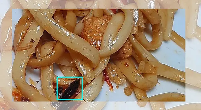 Huancayo: Policías almorzaban comidas con cucarachas  [FOTO]