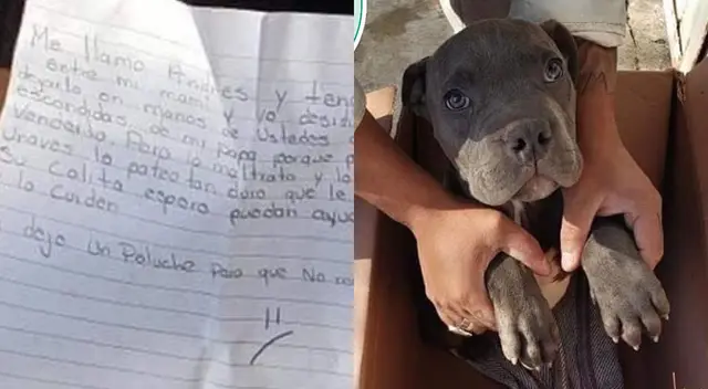 El menor entregó a su mascota con un peluche para que lo recuerde. El menor entregó a su mascota con un peluche para que lo recuerde.