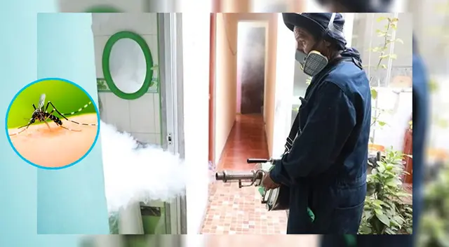 Personal de Minsa fumigando una vivienda en Puente Piedra. Personal de Minsa fumigando una vivienda en Puente Piedra.