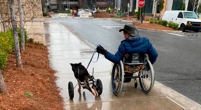 Gwinnett Jail Dogs es el refugio que albergó al can desde hace muchos años. Gwinnett Jail Dogs es el refugio que albergó al can desde hace muchos años.