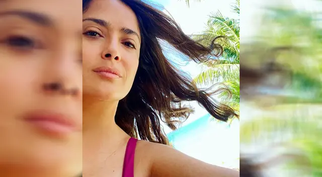 Se defendió con todo. Se defendió con todo.