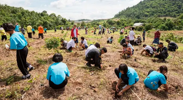 Estudiantes plantaran árboles para graduarse Estudiantes plantaran árboles para graduarse