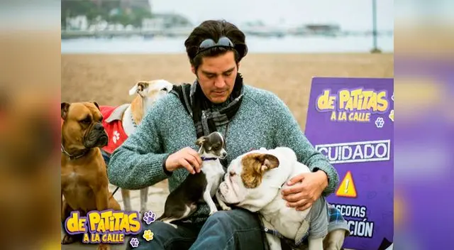 De patitas en la calle