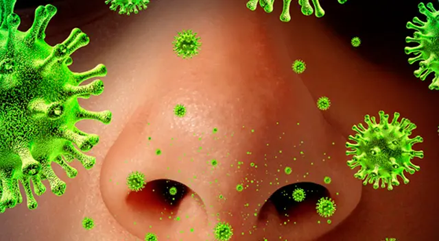 La prueba para detectar el coronavirus