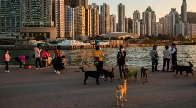 Hong Kong tiene 94 casos confirmados de coronavirus.