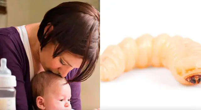 La policía señaló que dos familias más han denunciado a la empresa por encontrar gusanos vivos en la leche. La policía señaló que dos familias más han denunciado a la empresa por encontrar gusanos vivos en la leche.