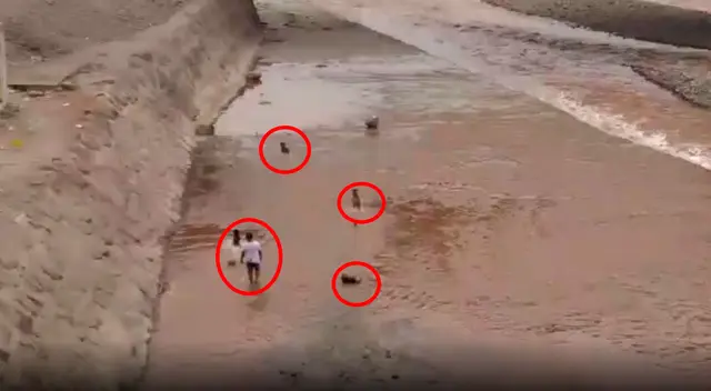 Hombre juega en las riveras del río Rímac con sus mascotas.