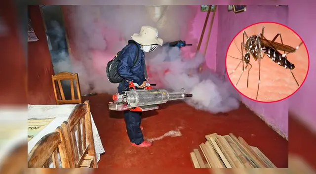 Especialista fumigando una vivienda. Especialista fumigando una vivienda.