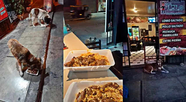 Microempresario insta a otros negocios de comida a hacer lo mismo. Microempresario insta a otros negocios de comida a hacer lo mismo.