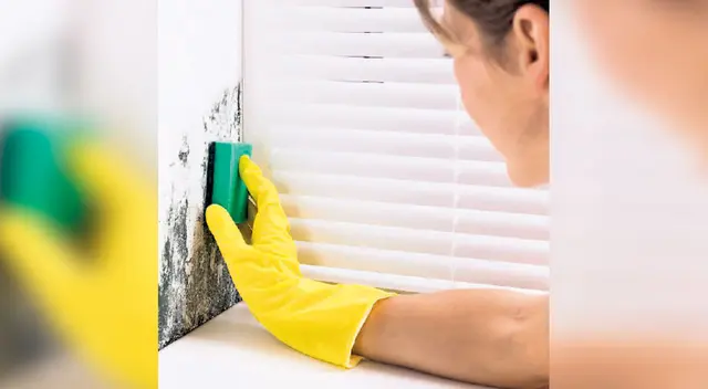 Manten tus baños y duchas limpios y libres de agentes contaminantes.