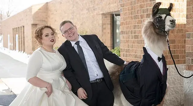 Con la ayuda de un compañero de trabajo, Mendl confeccionó un traje de gala para el mamífero.