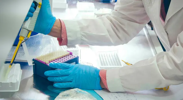 Descubren cómo el coronavirus infecta a las personas