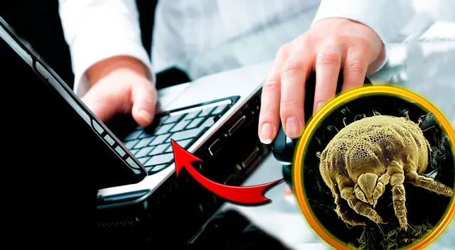 Las féminas tienden a albergar más bacterias que los varones debido a su distinto pH.