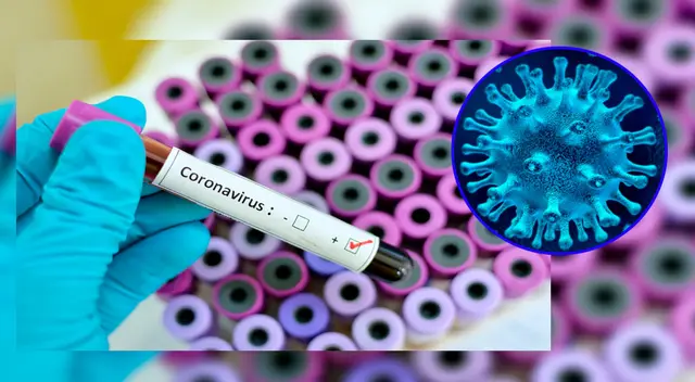 El coronavirus muta. El coronavirus muta.