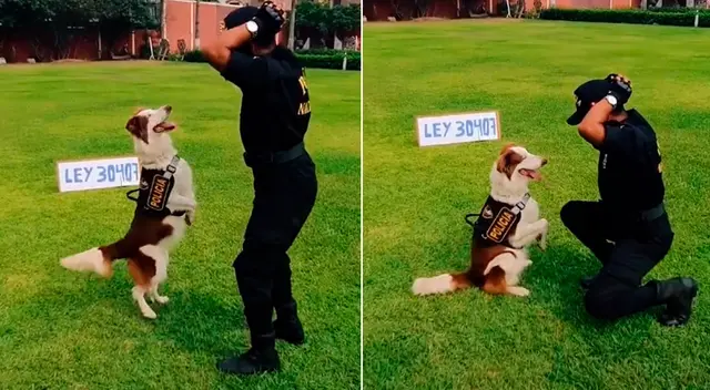 Con el hashtag Ley 30407, la PNP busca incentivar a los usuarios a denunciar el maltrato animal.