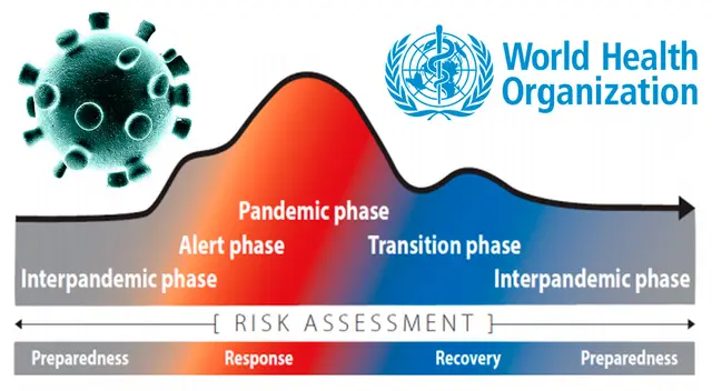 Periodo de pandemia finalizaría después de 2 o 3 años. Periodo de pandemia finalizaría después de 2 o 3 años.