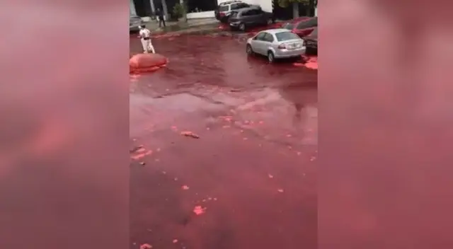 La aberrante escena ocurrió en la ciudad de Morrón, ubicado en la provincia de Buenos Aires.