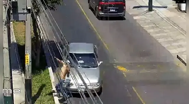 Sujeto fue capturado por el taxista a la altura de del jirón Combate de Angamos y el pasaje Combate de Abtao, en Surco.