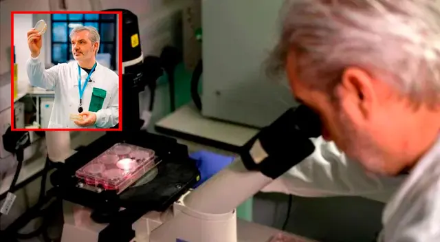 Los resultados se obtuvieron al mes de la prueba en ratones.