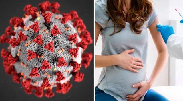 La ministra de Salud dio detalles de cómo se encuentra la madre de familia tras ser diagnosticada. La ministra de Salud dio detalles de cómo se encuentra la madre de familia tras ser diagnosticada.