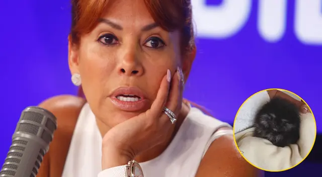 Magaly Medina hace tres días que su mascotita se encontraba enferma; sin embargo, no resistió. Magaly Medina hace tres días que su mascotita se encontraba enferma; sin embargo, no resistió.