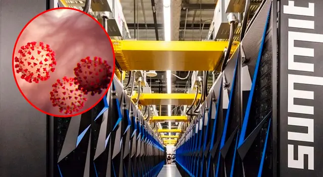 El coronavirus, como agente infeccioso, es analizado por Summit a través de la célula huésped El coronavirus, como agente infeccioso, es analizado por Summit a través de la célula huésped