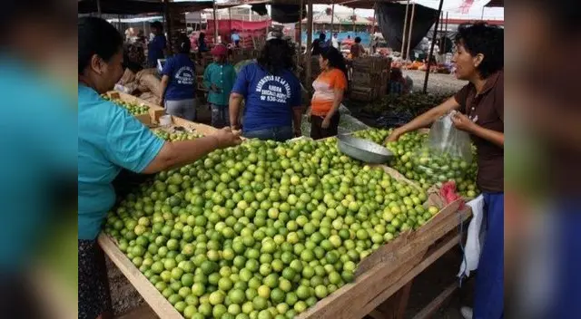 Se ha recibido 1200 toneladas de limón llegados del norte del país. Se ha recibido 1200 toneladas de limón llegados del norte del país.