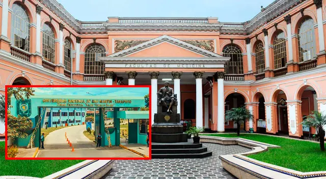 Dentro las universidades públicas se encuentran la Universidad Nacional Mayor de San Marcos y la Universidad Nacional de San Martín