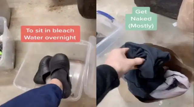 El video cuenta con más de 2 millones de reproducciones en Tik Tok. El video cuenta con más de 2 millones de reproducciones en Tik Tok.
