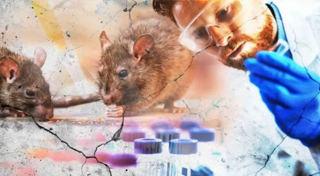 Este nuevo virus está causando terror en el mundo porque lo comparan con el coronavirus.