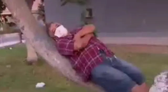 Los Olivos. Los Olivos.