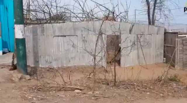 Anciano fallece en su casa en Pachacútec