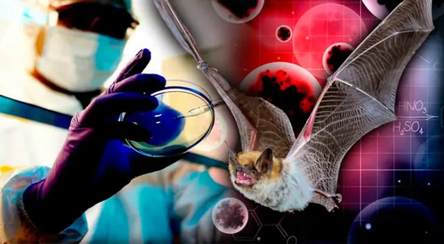 Se especula que investigadora fue el paciente cero en Wuhan y que virus se escapó de su laboratorio.