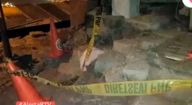 Dos perros atacan a menor de edad en Chorrillos