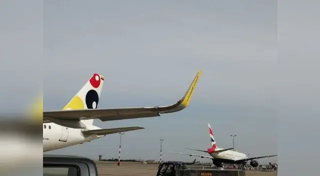 La aerolínera Viva Air gestiona los vuelos humanitarios con las distintas embajadas del Perú.